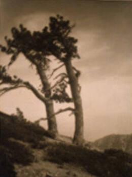 A Mountain Mood